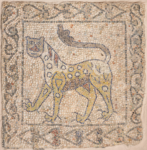RAVENNA, ITALY - JANUARY 29, 2020: The detail (leopard) of early christian mosaic pavement from elder builidng in the Chiesa di San Giovanni Evangelista church.