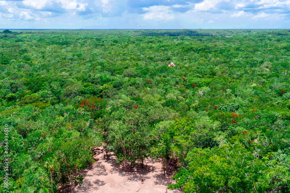 Coba, Quintana Roo / Mexico - August 2018: View over the jungle from the top of the Ixmoja pyramid 
