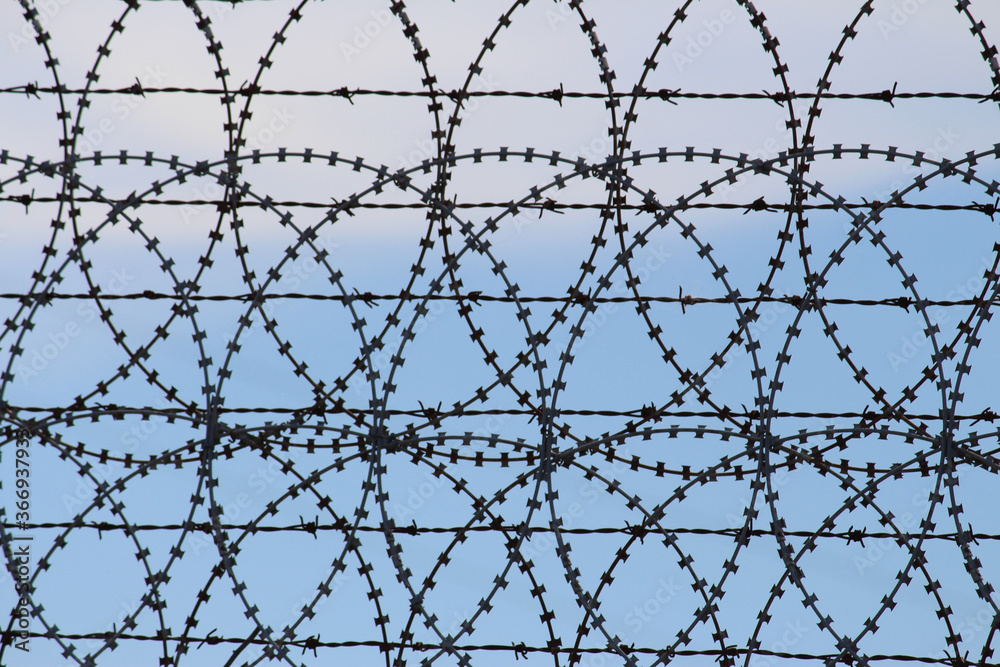 Fototapeta premium Barbed wire and razor wire wheels against a blue sky background