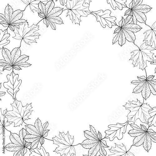 Monochrome frame with autumn leaves. Round frame with contour leaves for fashion  greetings  background for save the dates. Black and white. Vintage. Vector illustration.