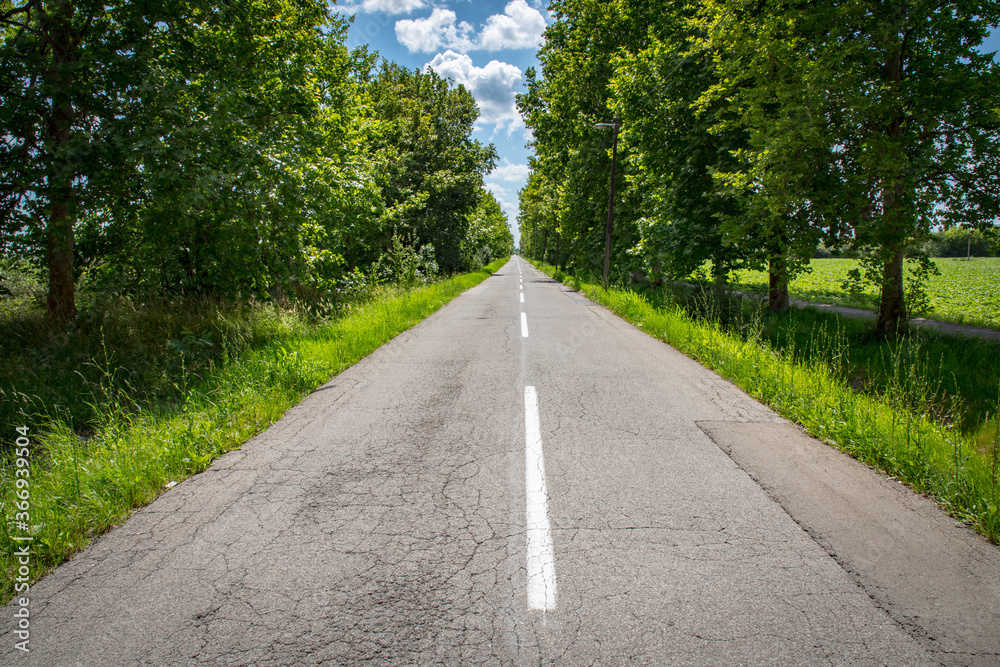 Beautiful altitude shot with blue cloudy sky and green trees and high grass. Central road leading to the horizon Beautiful altitude shot with blue cloudy sky and green trees and high grass. Central road leading to the horizon