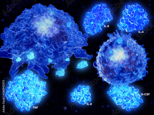 Cytokine storm, macrophage and T effector cell segregate cytokines photo