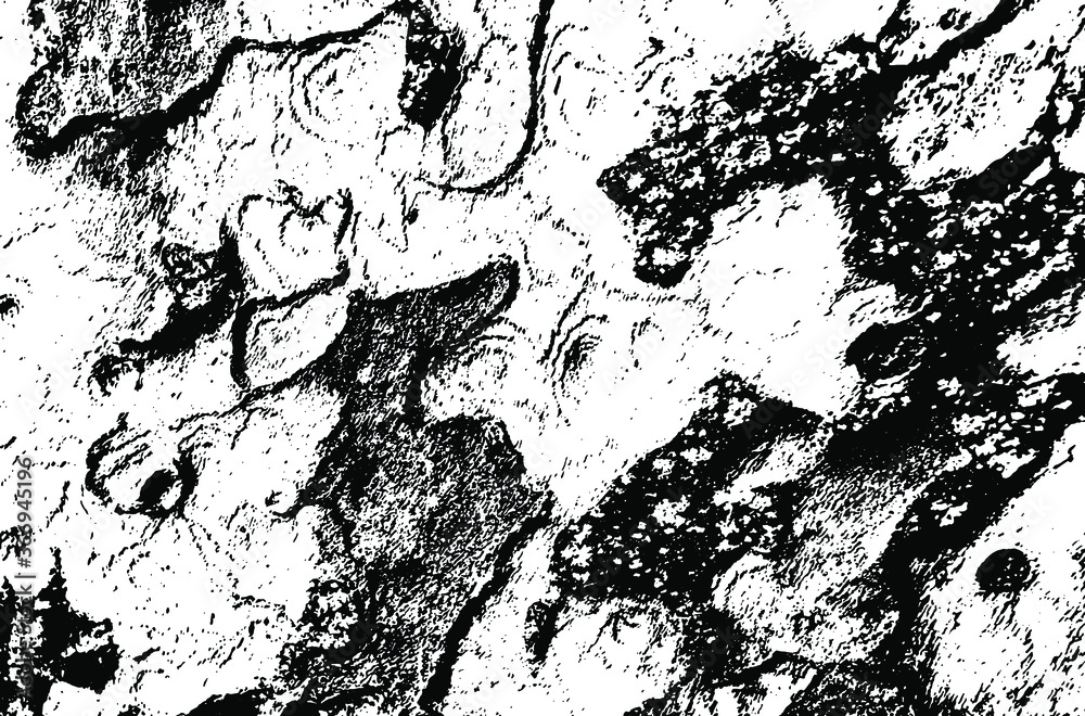 Wooden sycamore texture. Tree wood material.Grunge texture. Grunge black and white vector overlay. Grungy grainy surface. Wooden sycamore texture. Tree wood material.Grunge texture. Grunge black and white vector overlay. Grungy grainy surface.