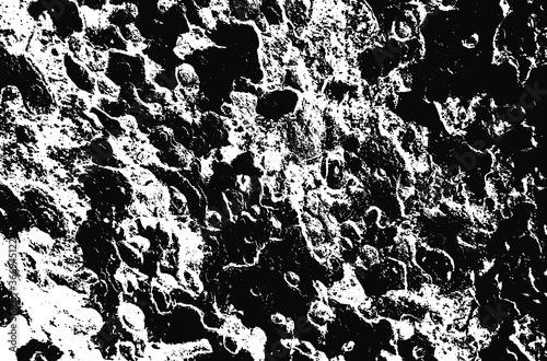 Wooden sycamore texture. Tree wood material.Grunge texture. Grunge black and white vector overlay. Grungy grainy surface.