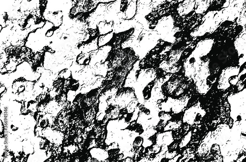 Wooden sycamore texture. Tree wood material.Grunge texture. Grunge black and white vector overlay. Grungy grainy surface.