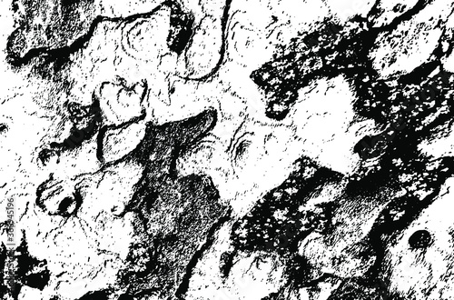 Wooden sycamore texture. Tree wood material.Grunge texture. Grunge black and white vector overlay. Grungy grainy surface.