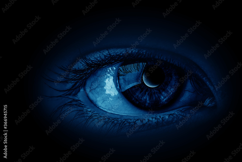 Macro image of human eye Macro image of human eye