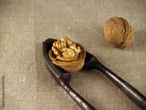 Beautiful old rusty vintage iron tongs for chopping nuts on unbleach linen background close-up. Half of chopped walnut on tongs for splittingand one more unchopped on cloth, selective focus photo
