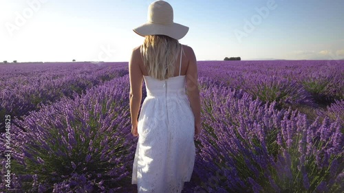 Slow motion - Young woman in a white dress and a hat walking through lavender field at sunset. Beautiful girl in Provence, France