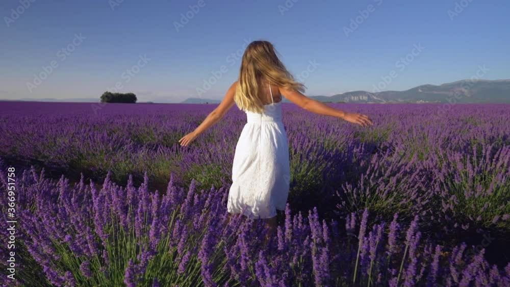 Slow motion - Young woman in a white dress turning around in lavender field at sunset. Close up of happy beautiful girl spinning in Provence, France Slow motion - Young woman in a white dress turning around in lavender field at sunset. Close up of happy beautiful girl spinning in Provence, France