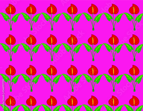 pattern di anthurium belize per telo mare borsa shopper carta regalo su sfondo viola