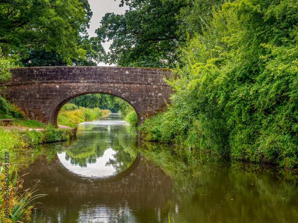 Manley Bridge The Grand Western Canal, Tiverton, Devon. With reflection. Manley Bridge The Grand Western Canal, Tiverton, Devon. With reflection.
