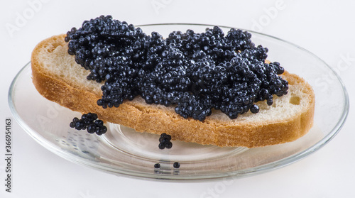 Sandwich with black caviar fish on saucer on white background