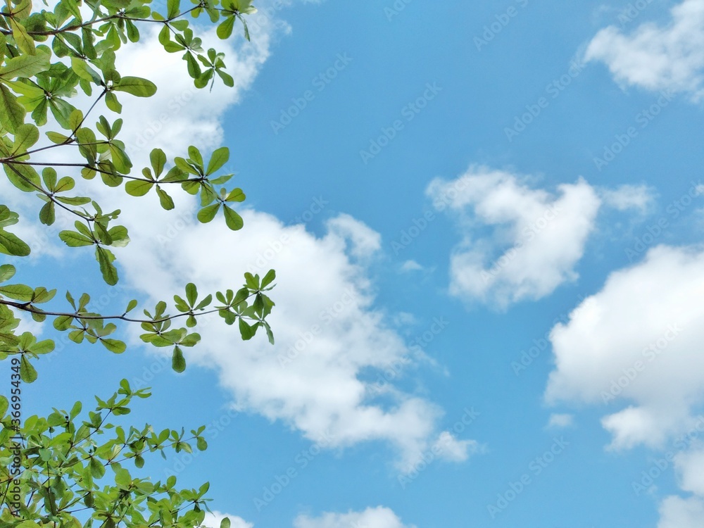 Obraz premium sky and clouds