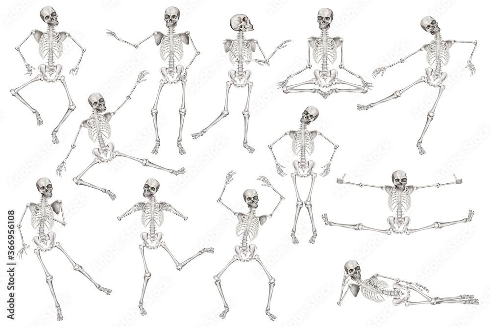 Basic white girl skeleton : r/halloween