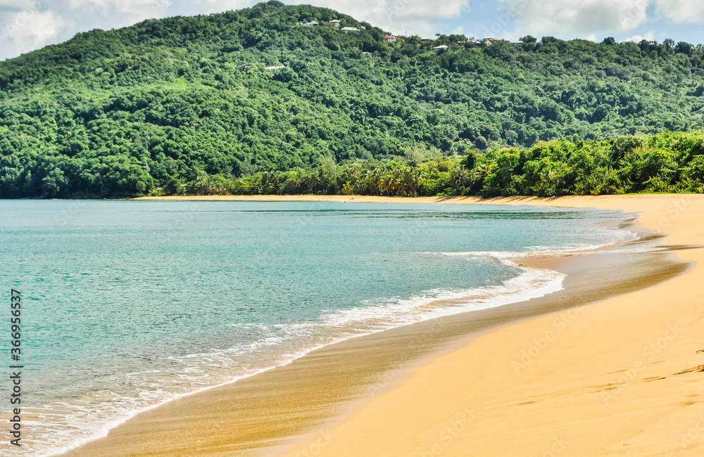 idyllic coastal beach scenery on a caribbean island named Guadeloupe
