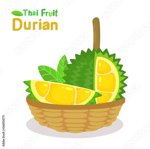 Durian Thai Fruit