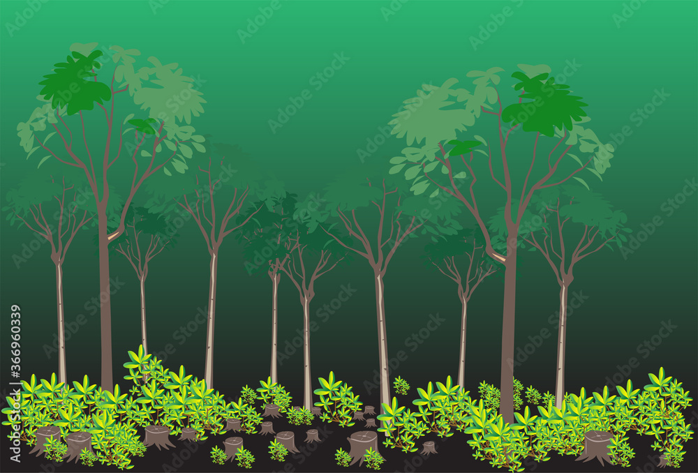 Fototapeta premium save tree save forest concept,deforestation background.