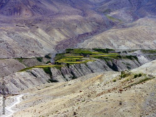 Contrast between a village in the green vegetation and the sourrounding hight arid mountains, Nubra valley, Ladakh, India photo