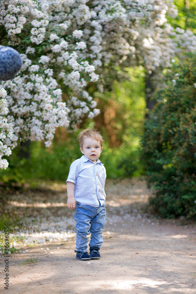 Child running  in an apple orchard in spring