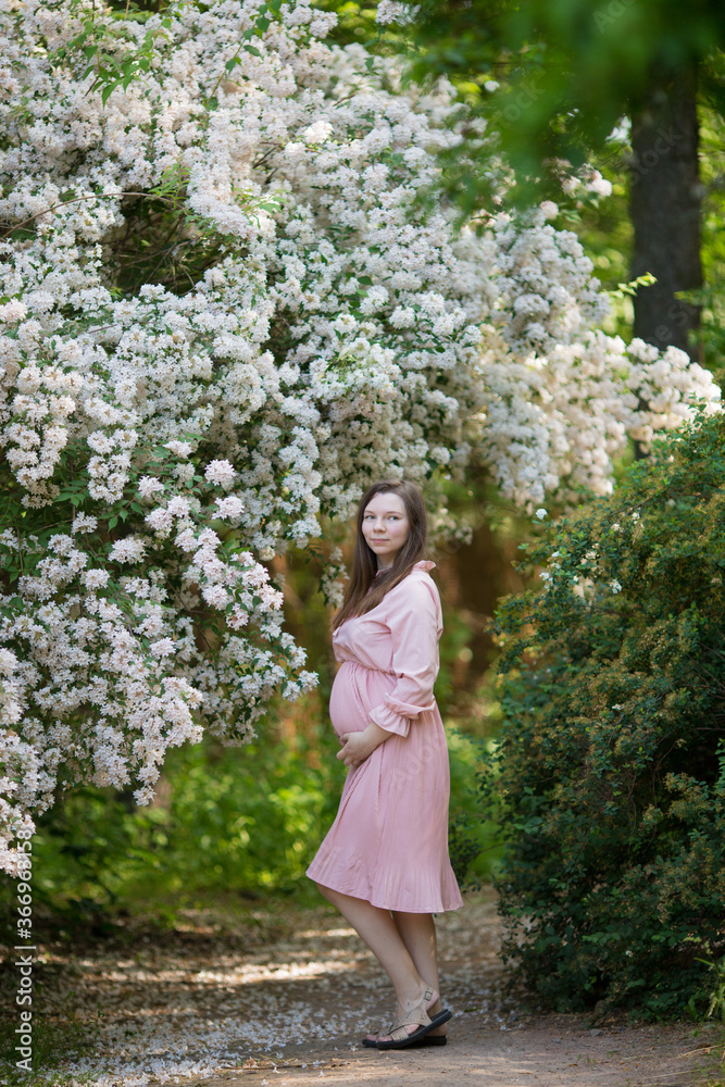 Pregnant woman in the apple orchard is holding tummy and apple blossoming branch Pregnant woman in the apple orchard is holding tummy and apple blossoming branch