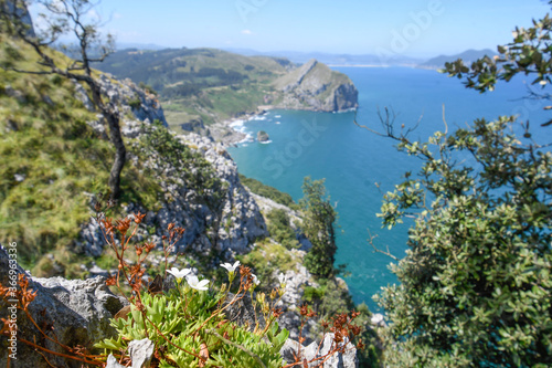 Limestone and oak with the sea and Monte Buciero as background photo