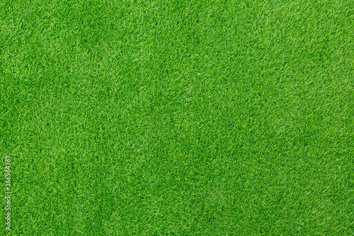 Natural background and texture. Artificial evergreen lawn grass. Flat lay