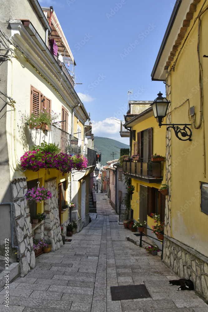 A narrow street between old houses with doors and windows decorated with plants and flowers in San Gregorio Matese, a mountain village in the province of Caserta.