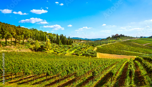 Radda in Chianti vineyard and panorama at sunset. Tuscany, Italy