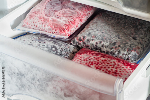 Frozen berries in transparent plastic bags in the freezer. Open deep freeze filled with frozen Red and Black Currants.