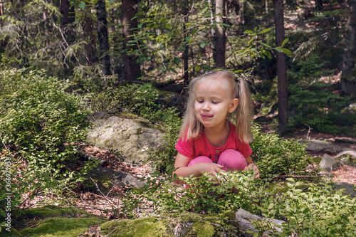 Blonde girl with two ponytails on her head in pink clothes sat down near a blueberry bush in the woods and licks her lips