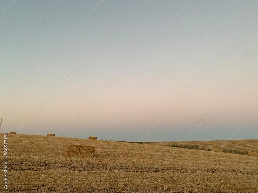 Fototapeta premium Blue orange sky over field