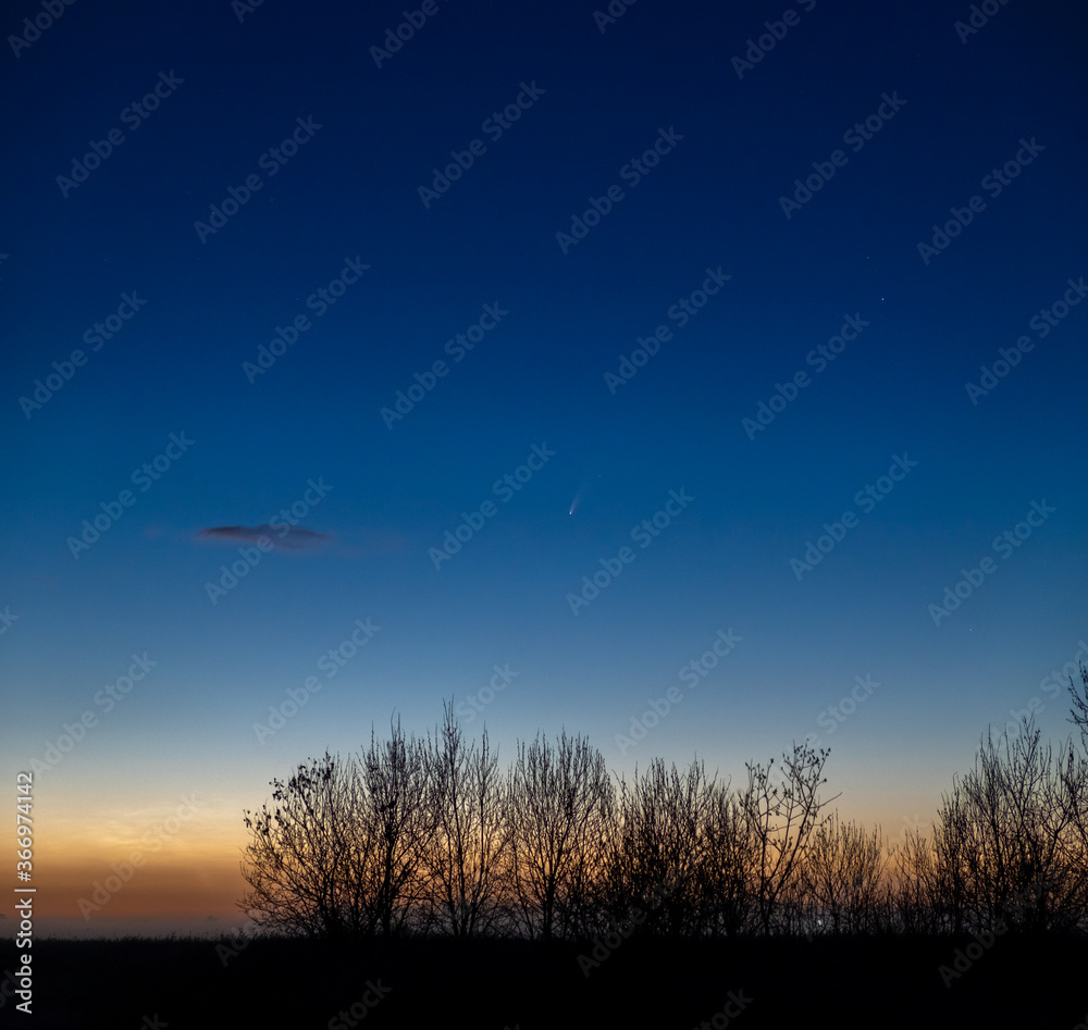 Comet C/2020 F3 (NEOWISE) Comet C/2020 F3 (NEOWISE)