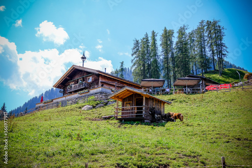 Wanderung Streif Kitzbühel Rennstrecke Sommer Gebirge