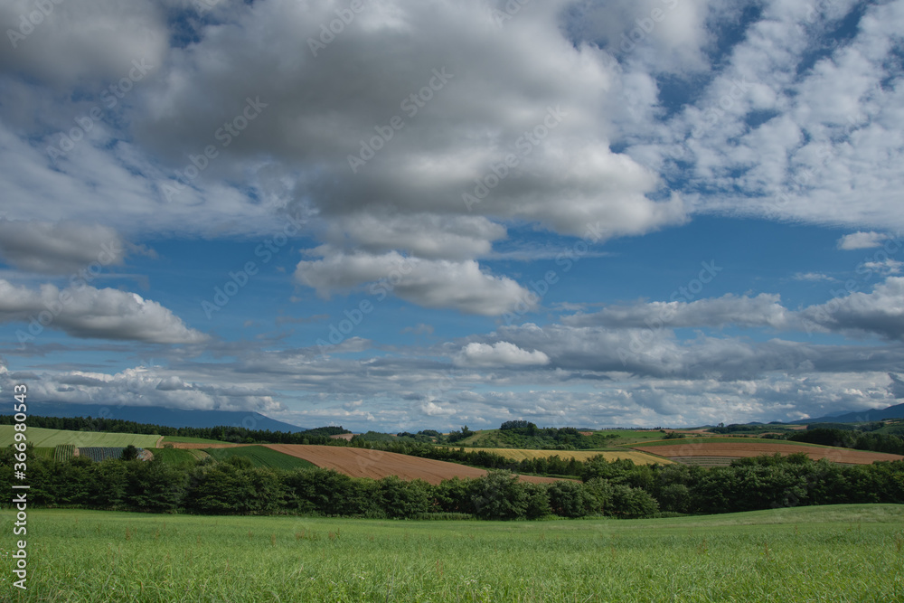 美瑛の素敵な雲たちのある夏の風景 美瑛の素敵な雲たちのある夏の風景