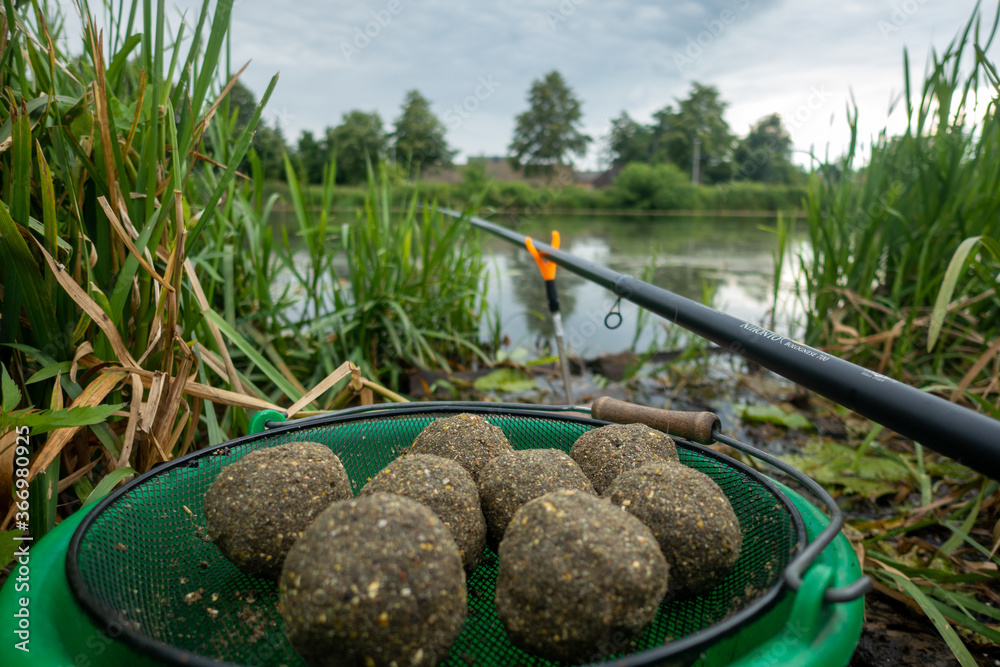 Groundbait balls ready for baiting fish. Fishing groundbait. Kule