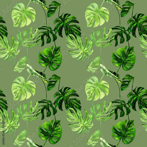 Watercolor illustration seamless pattern of tropical leaf monstera. Perfect as background texture, wrapping paper, textile or wallpaper design. Hand drawn © NataliaArkusha