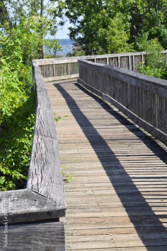 A wooden boardwalk in a wetland