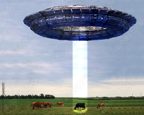 ufo beaming a cow in pasture