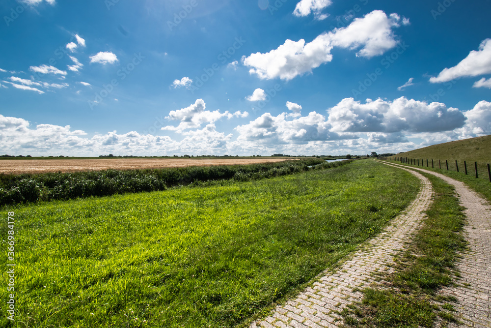Alluvial land of the dollar in front of the dike on the North Sea in summer with a blue sky