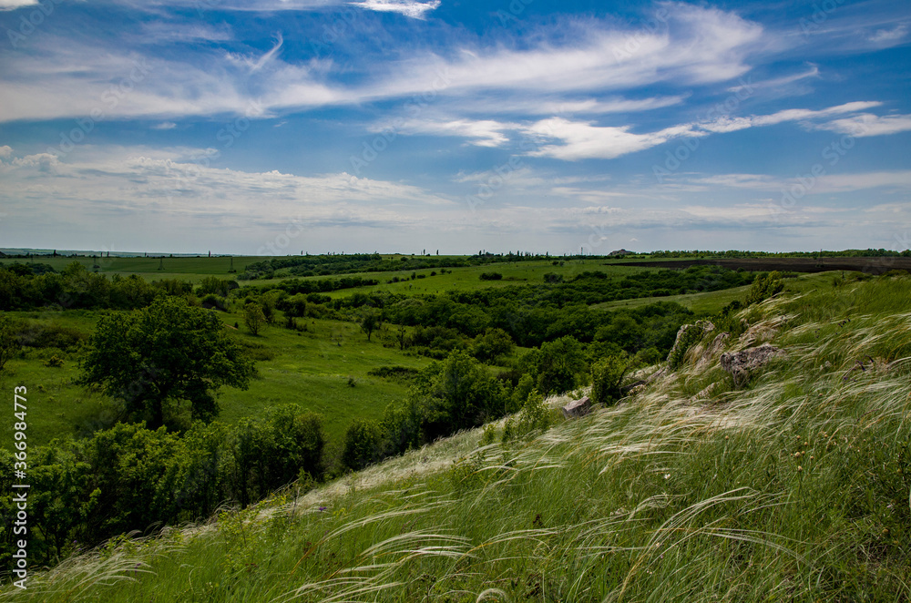 steppe, field, summer, grass, green, sky, clouds, sunny, day, horizon, ukraine, landscape