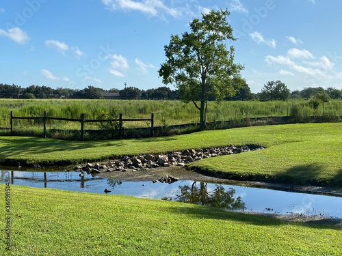 landscape with river
