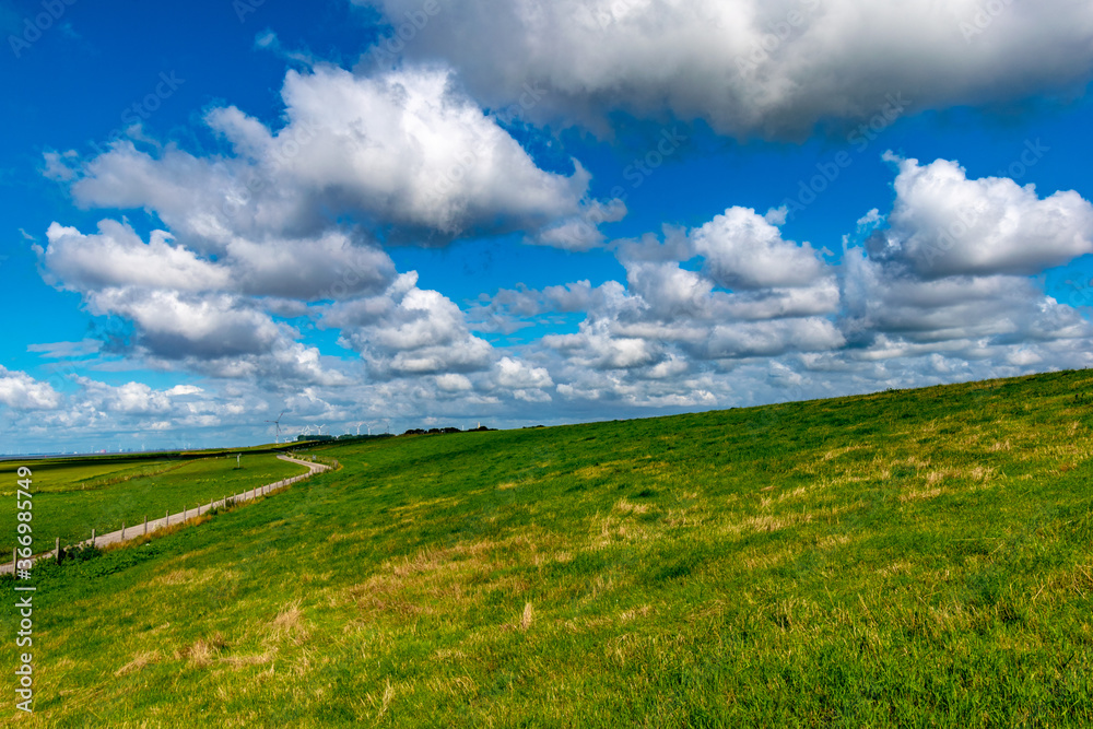 Alluvial land of the dollar in front of the dike on the North Sea in summer with a blue sky