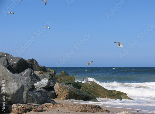 Rauhe See und Seevoegel am Strand von Klitmoeller, Juetland, Daenemark, Europa photo