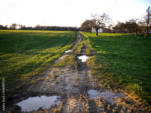 Traktorweg im Feld  photo