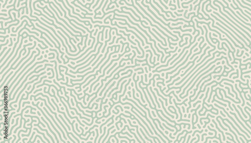 organic turing pattern irregular lines background design