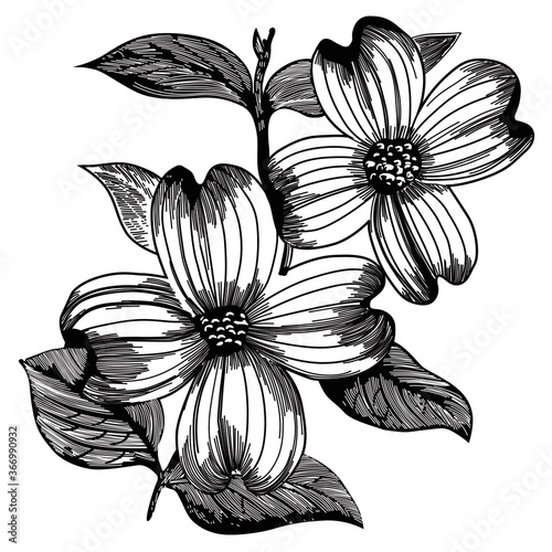 branches and flowers vectorel pattern study drawing.eps