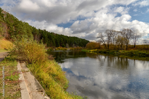 the river in the autumn forest