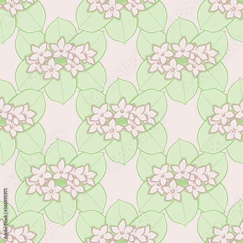 Bridal Wreath flower and leaves seamless pattern background. Minimalist Waxflower vector illustration.