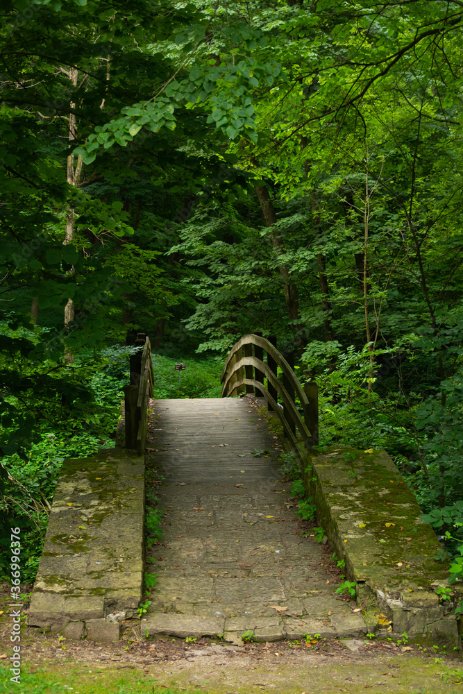 Obraz premium Bridge in the park